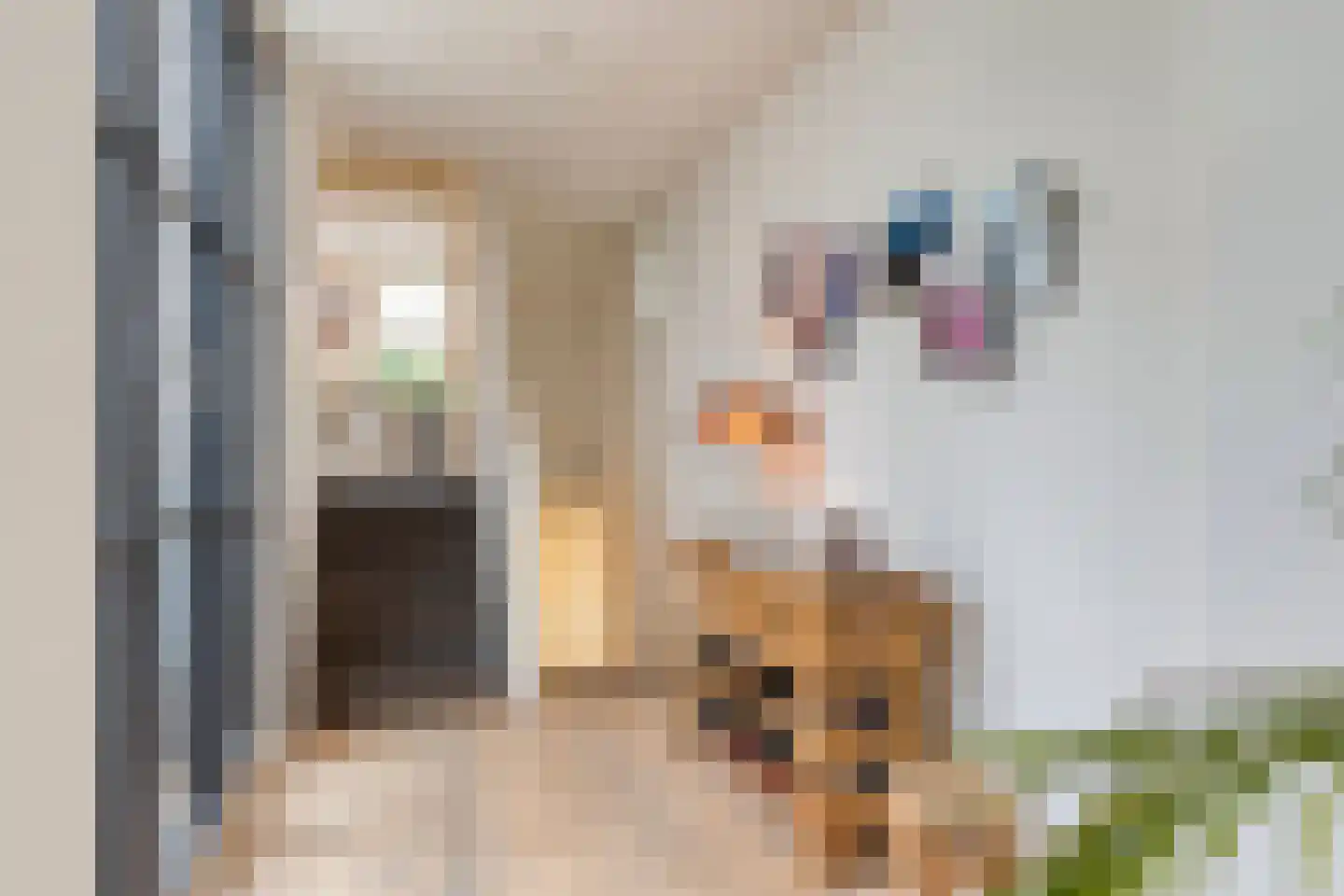 Grote Kade 16 Goes thumbnail 8