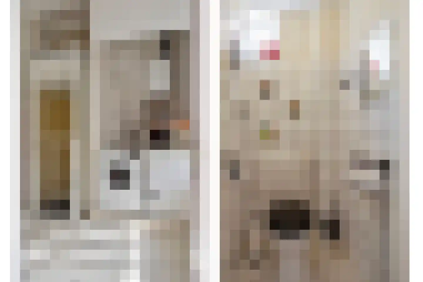 Grote Kade 20 Goes thumbnail 23