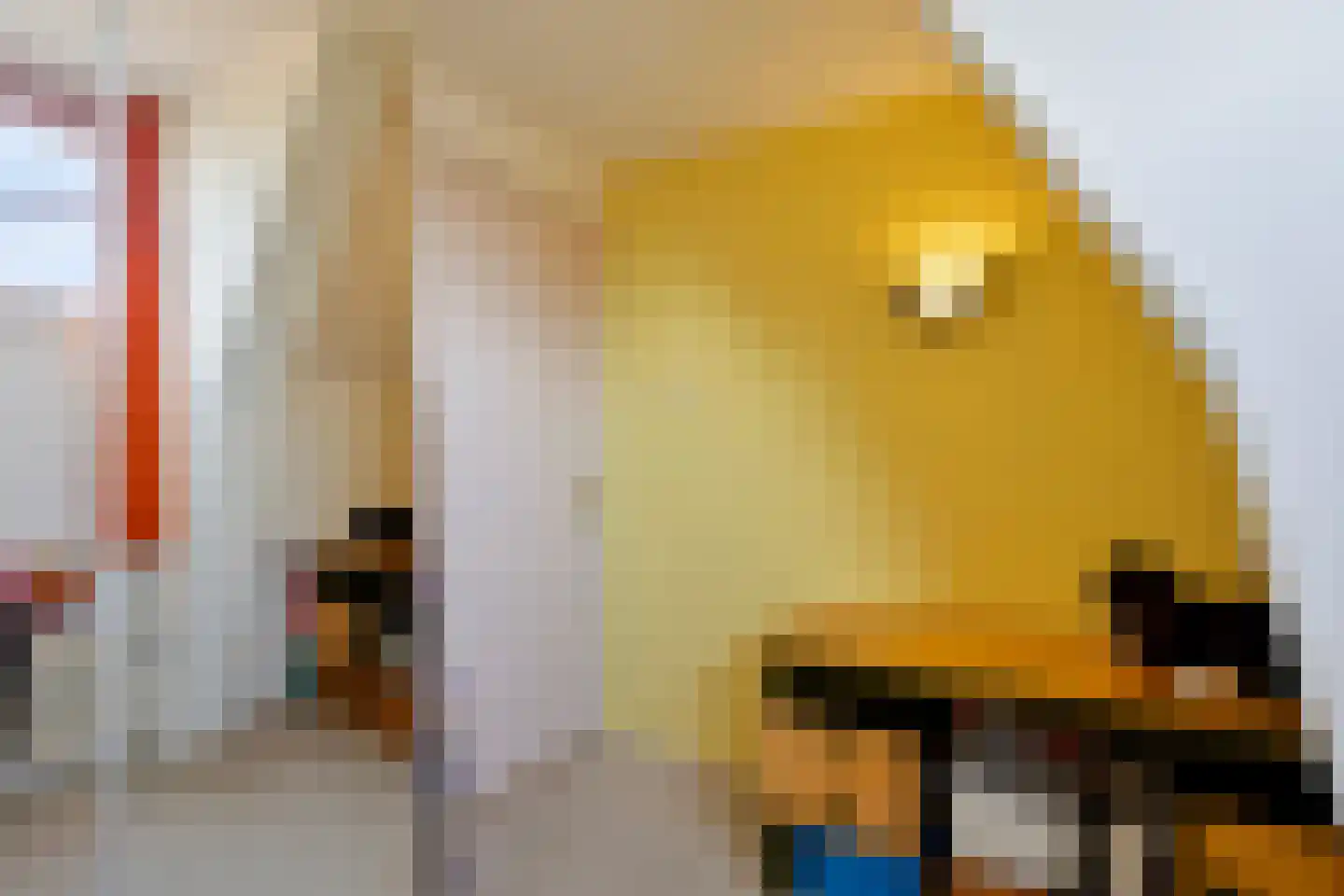 Grote Kade 20 Goes thumbnail 34