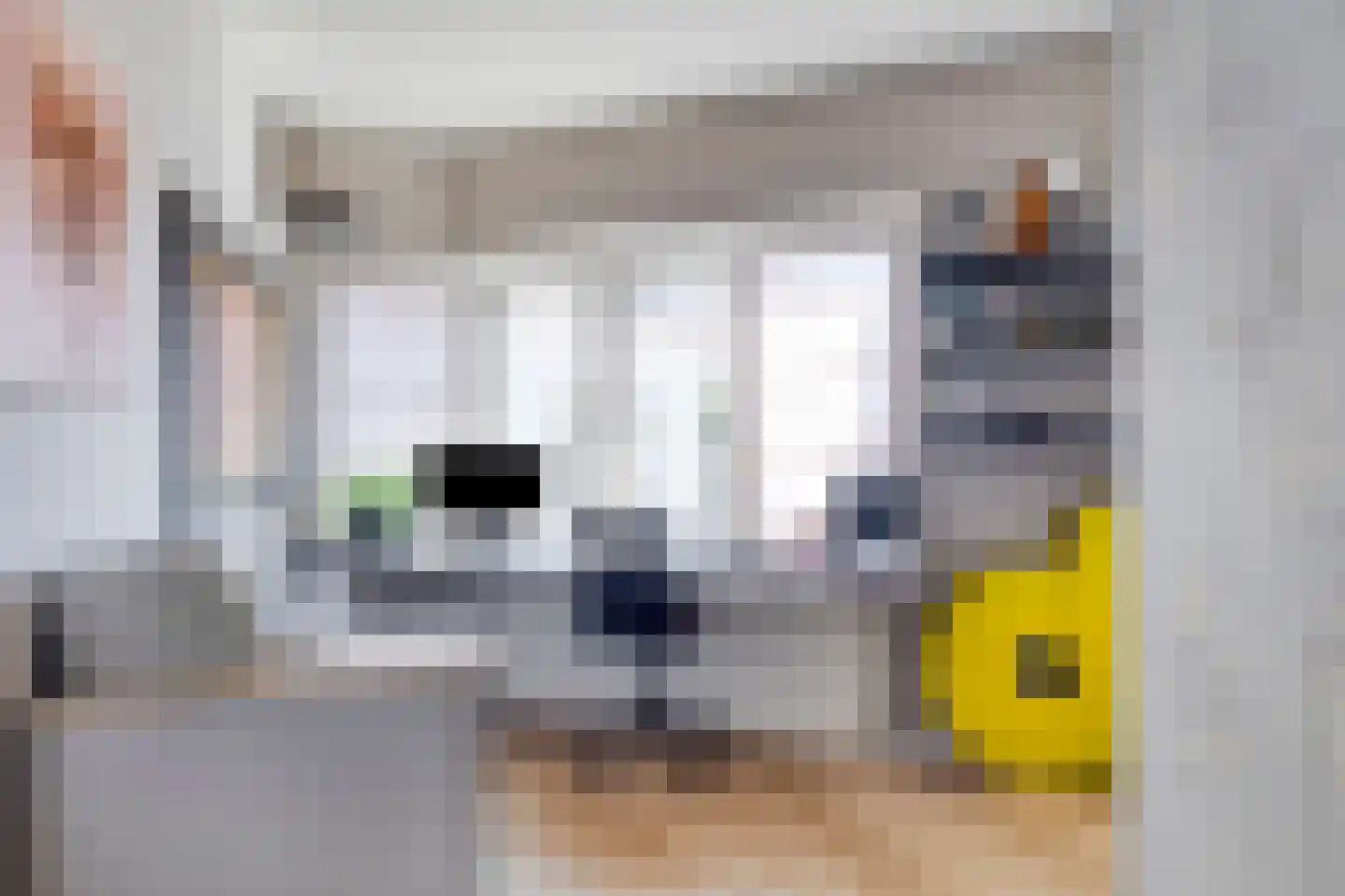 Grote Kade 26 Goes thumbnail 21