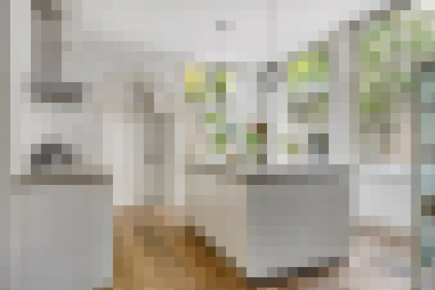 Grote Kade 28 Goes thumbnail 16