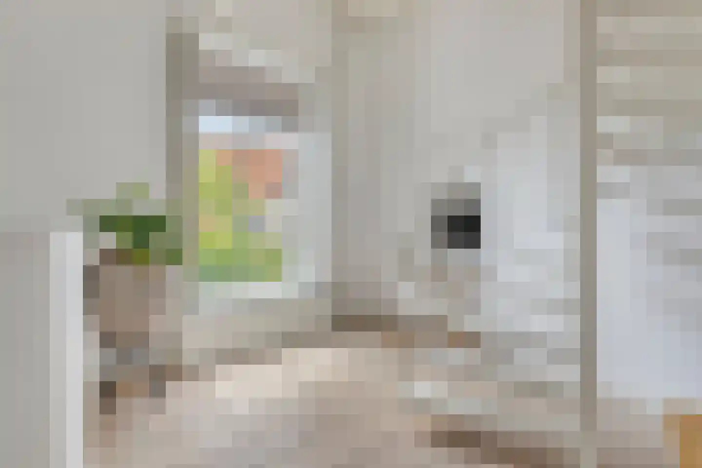 Grote Kade 28 Goes thumbnail 44