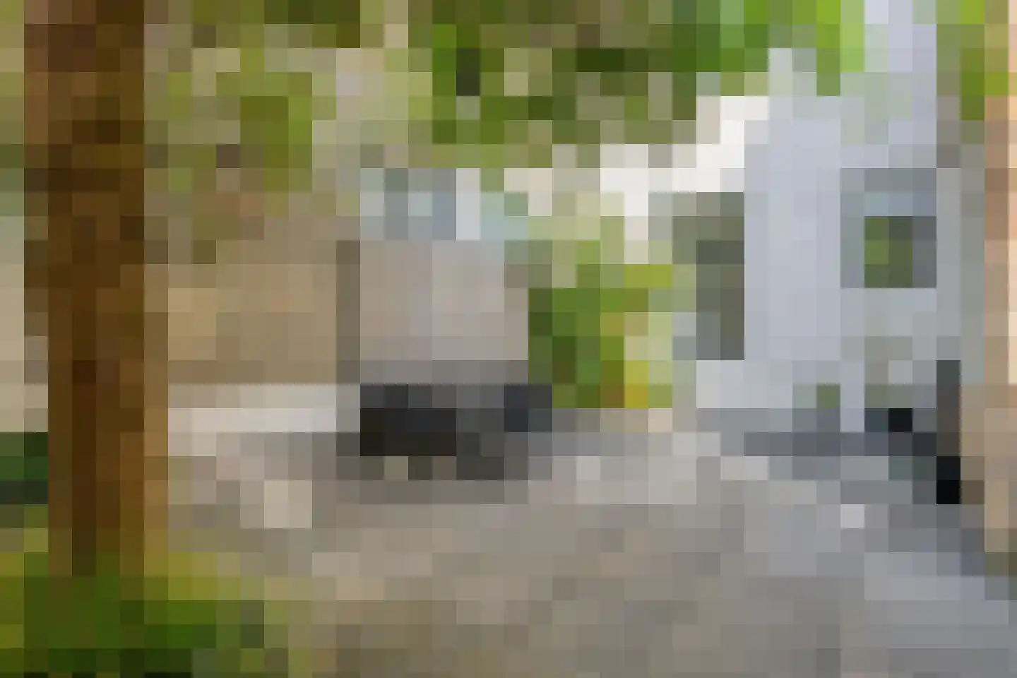 Grote Kade 28 Goes thumbnail 56