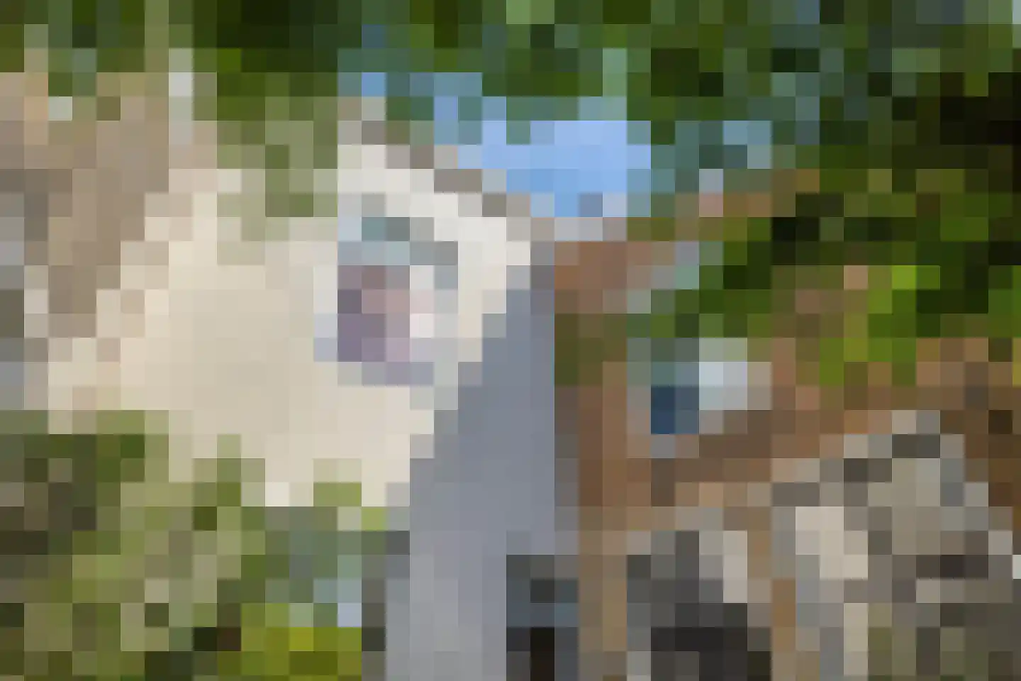 Grote Kade 28 Goes thumbnail 57