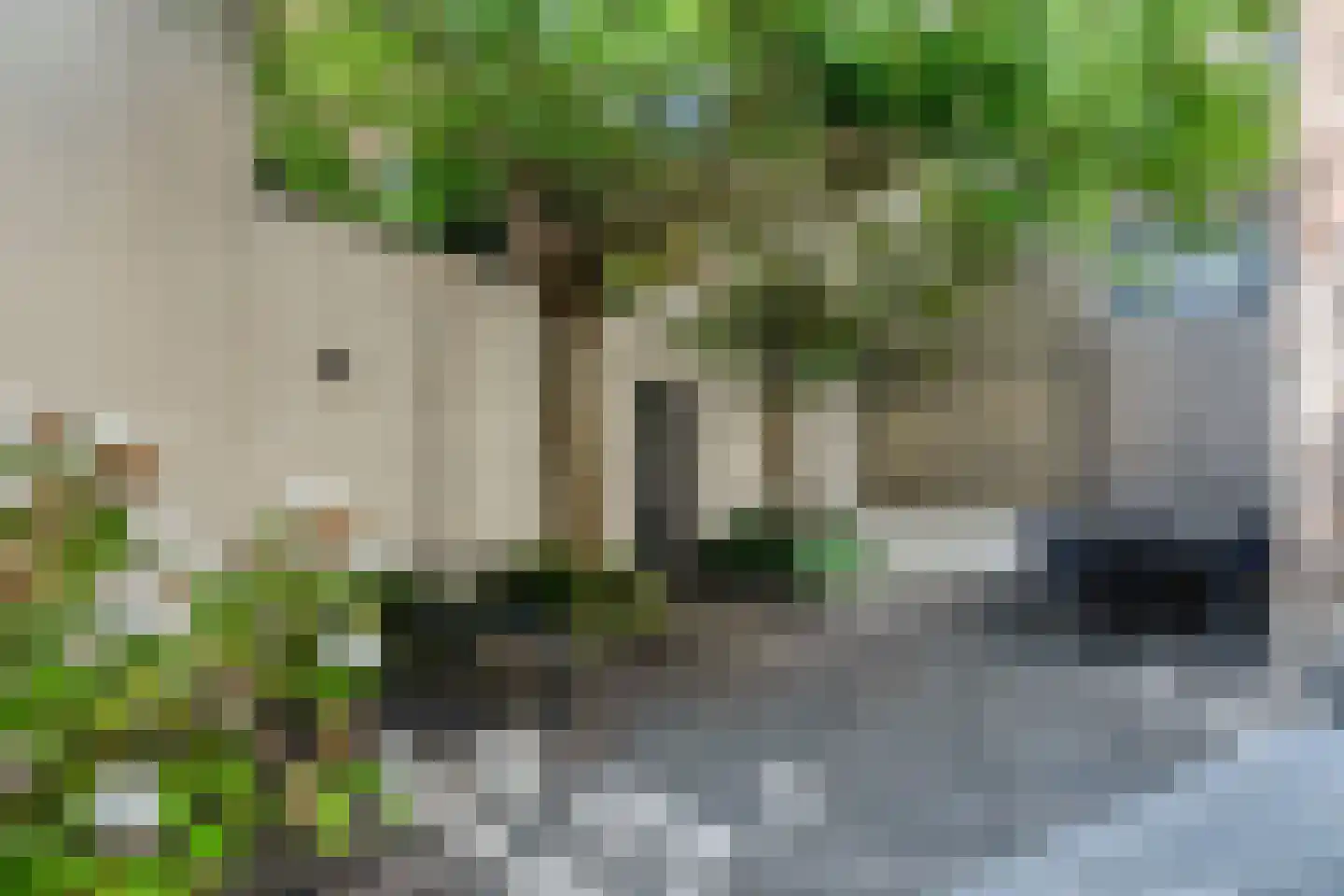 Grote Kade 28 Goes thumbnail 61