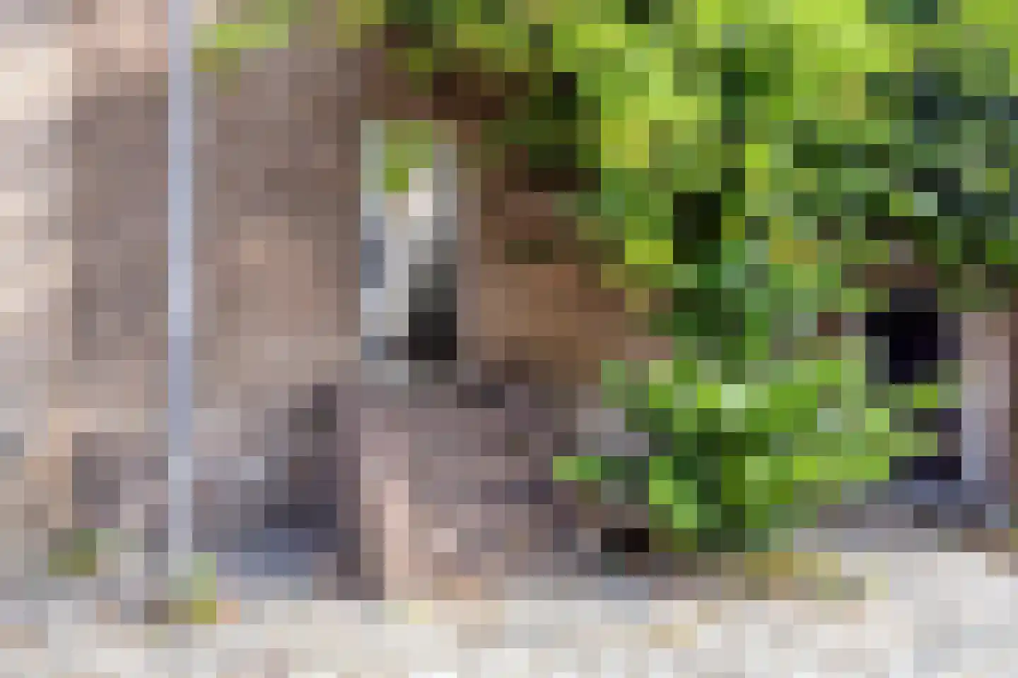 Grote Kade 28 Goes thumbnail 62