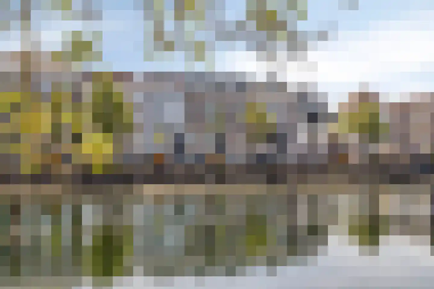 Grote Kade 28 Goes thumbnail 63