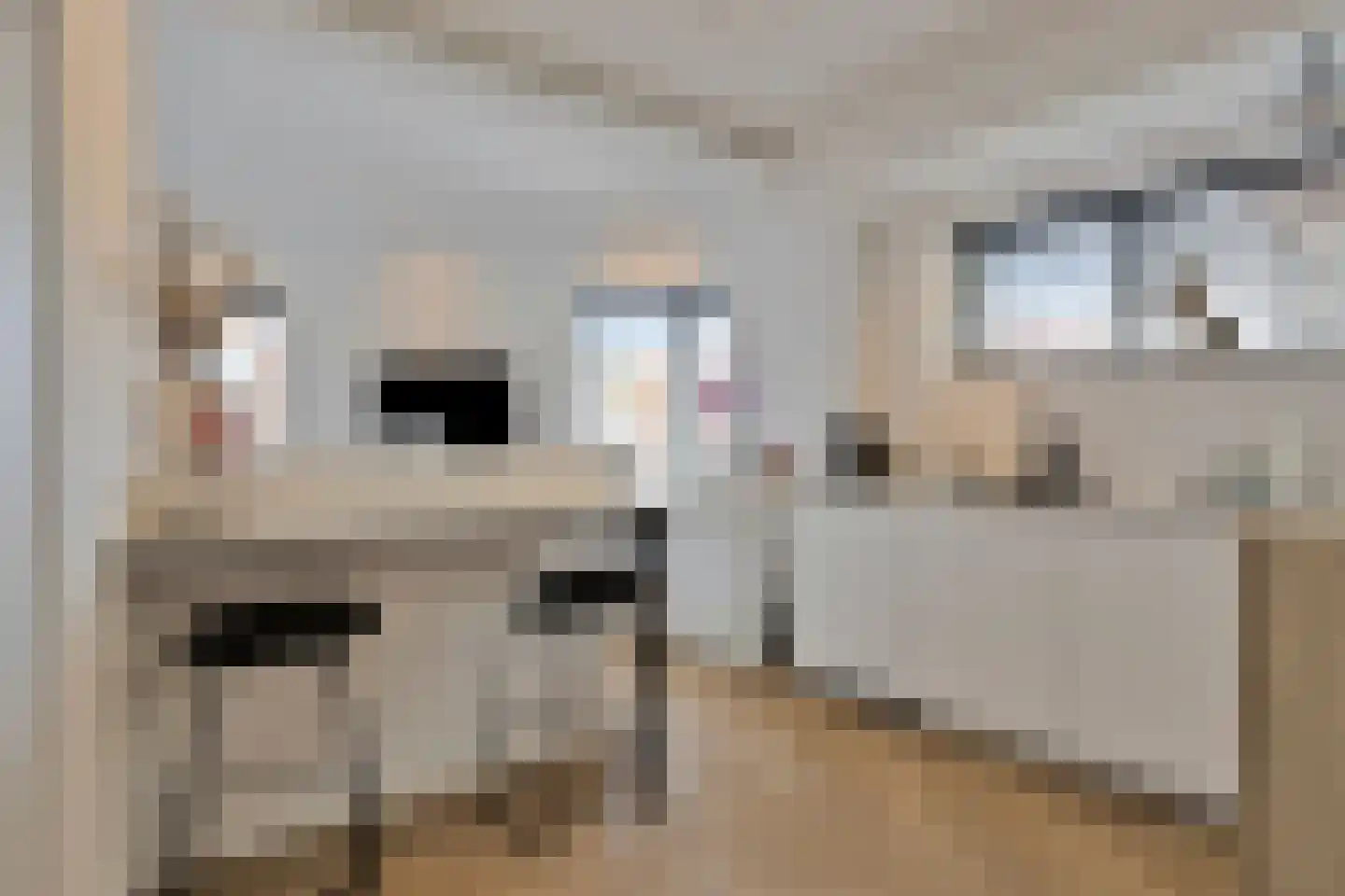 Grote Kade 28 Goes thumbnail 83
