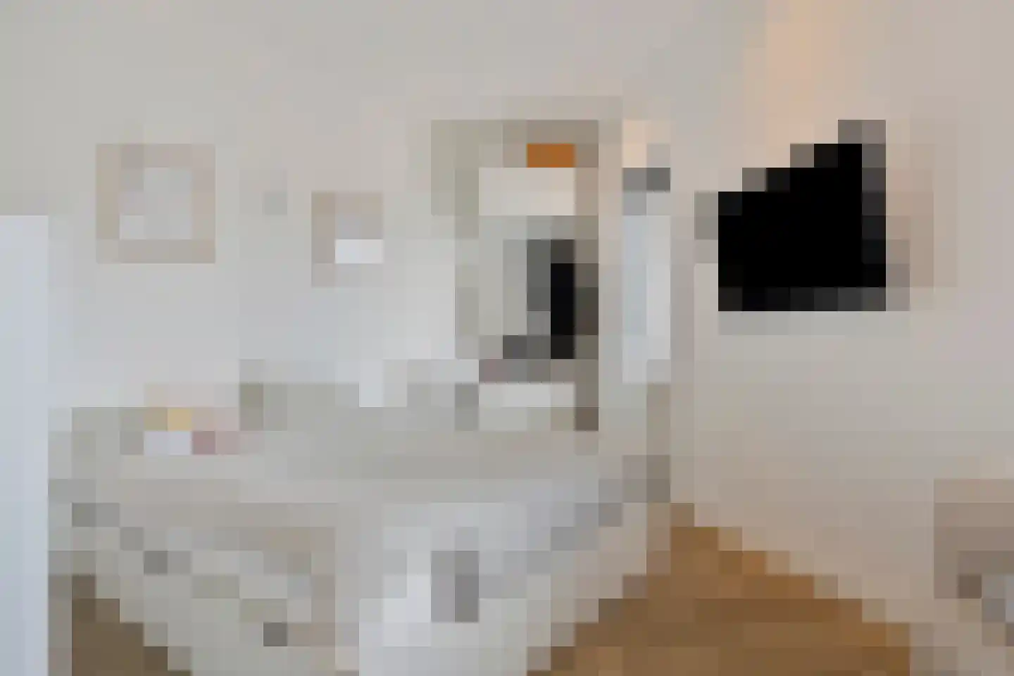 Grote Kade 28 Goes thumbnail 86