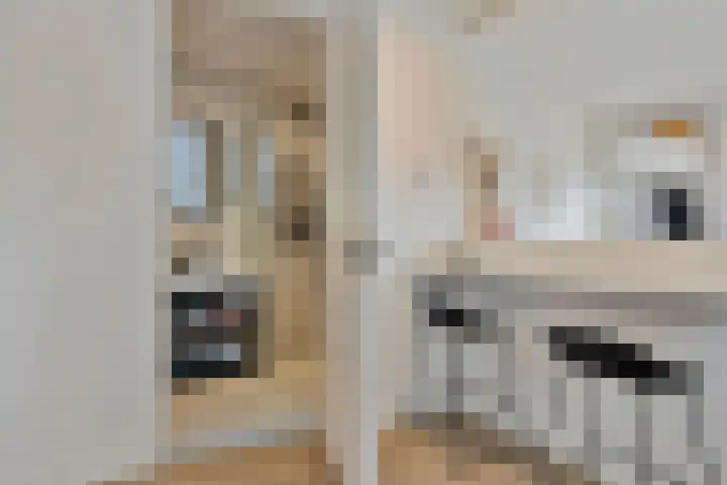 Grote Kade 28 Goes thumbnail 88