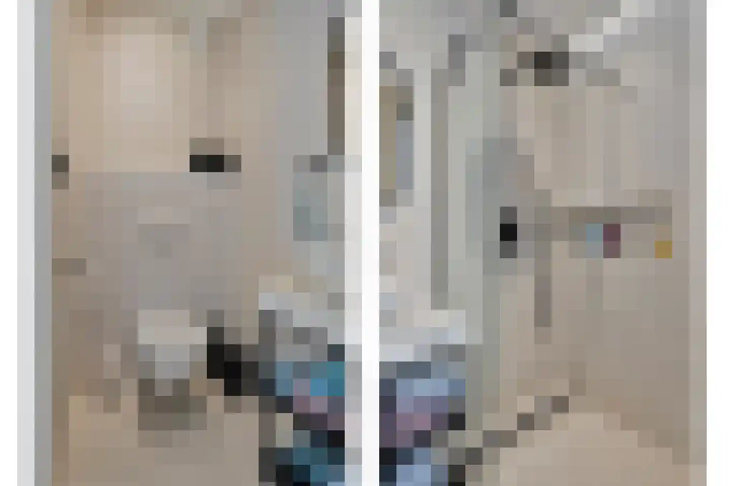 Grote Kade 28 Goes thumbnail 90