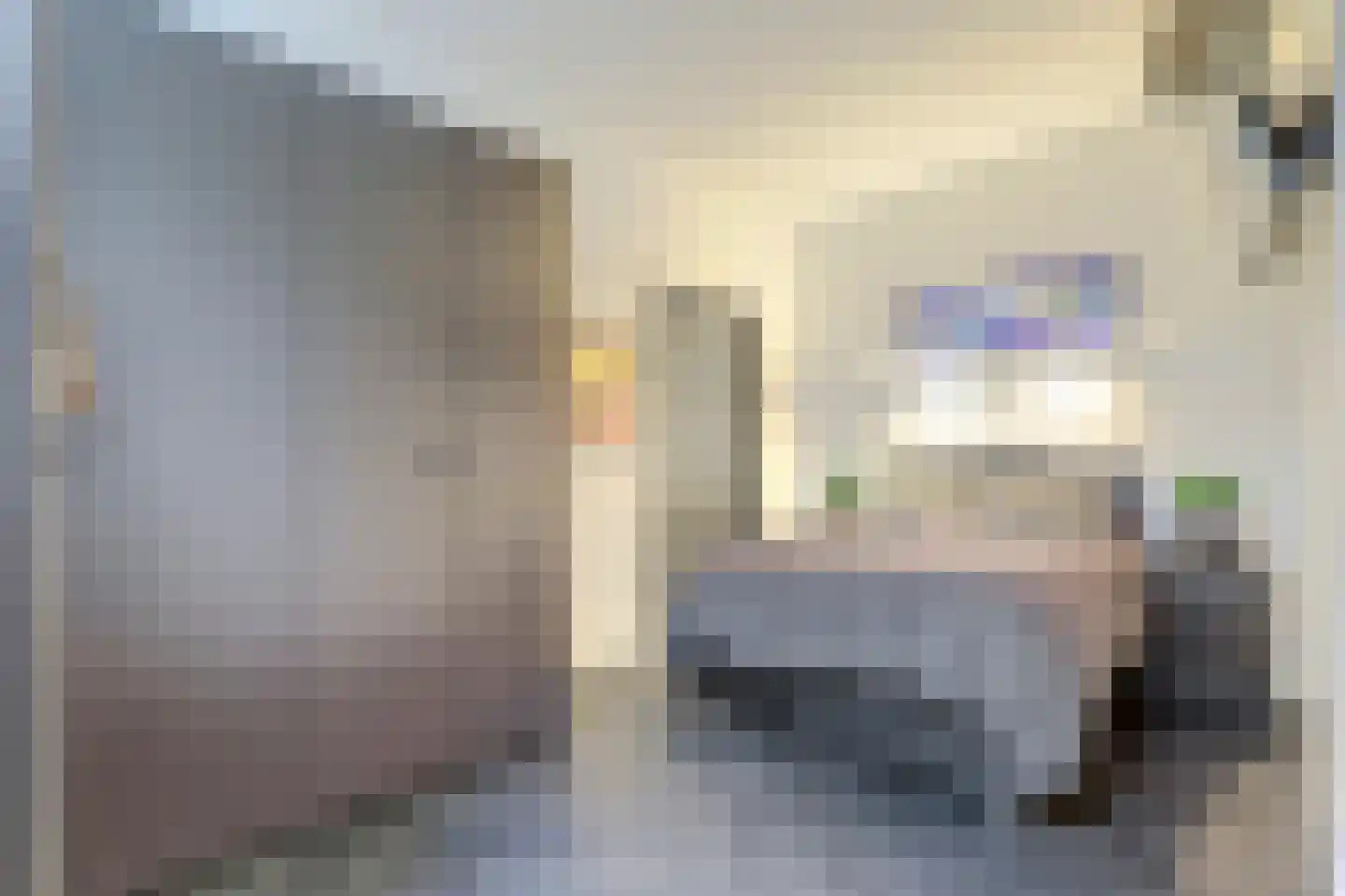 Grote Kade 30 Goes thumbnail 14