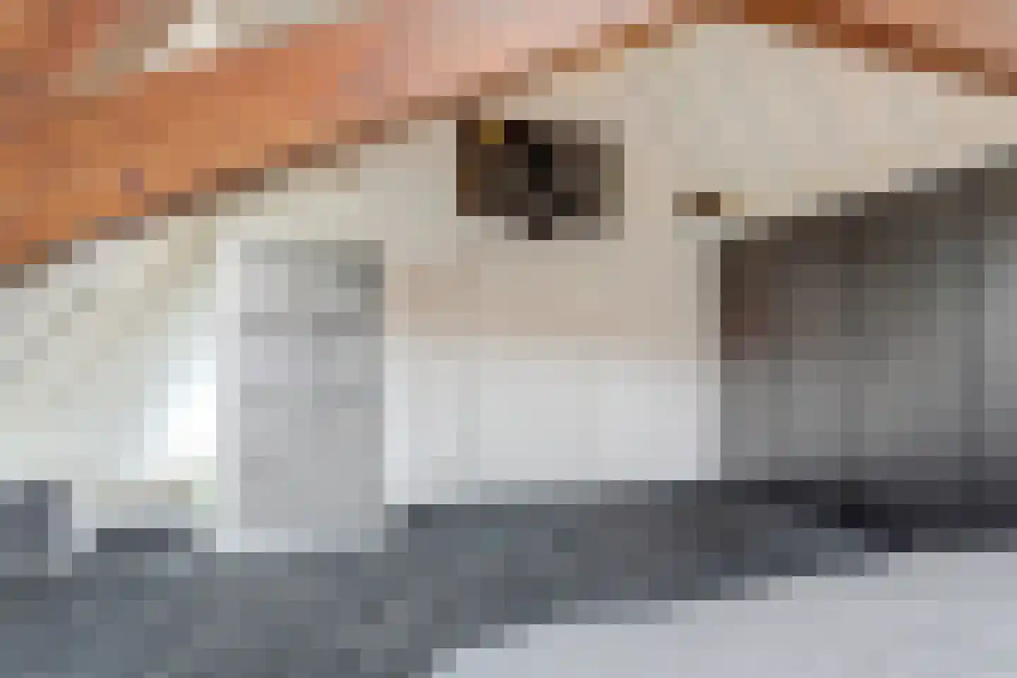 Grote Kade 30 Goes thumbnail 36