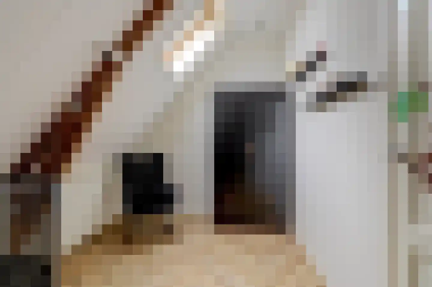 Grote Kade 30 Goes thumbnail 39