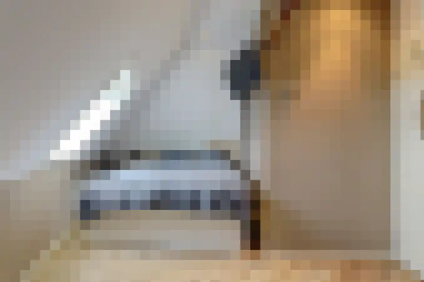Grote Kade 30 Goes thumbnail 42