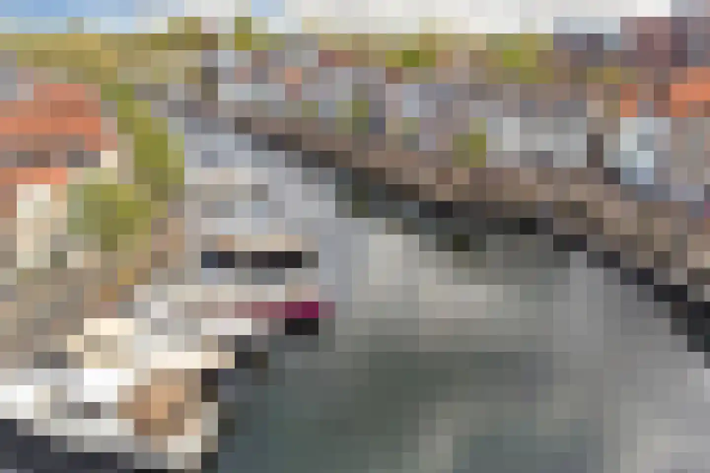 Grote Kade 30 Goes thumbnail 48