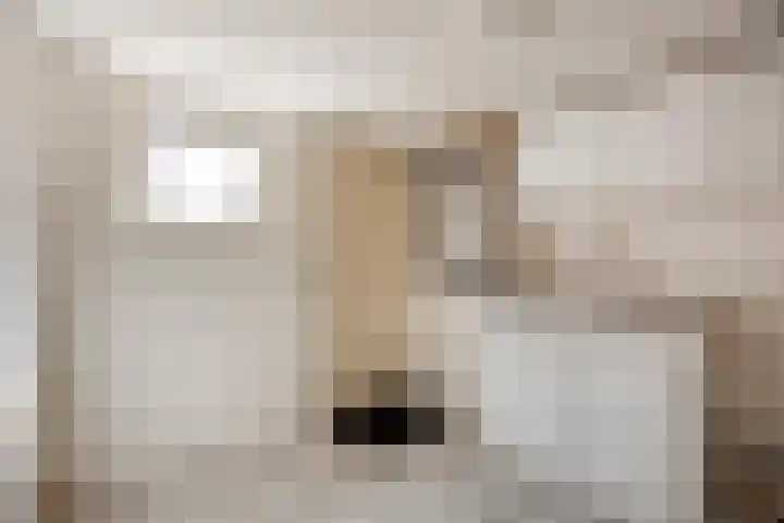 Grote Kade 4 Goes thumbnail 12
