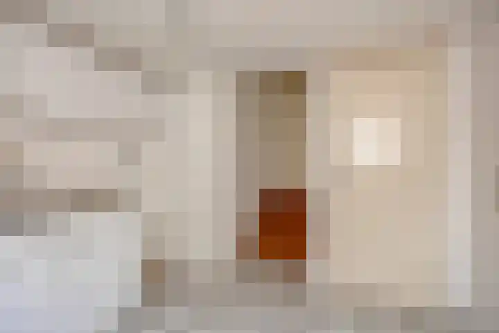 Grote Kade 4 Goes thumbnail 13