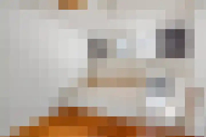 Grote Kade 4 Goes thumbnail 16