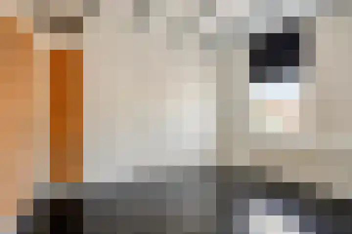 Grote Kade 4 Goes thumbnail 17
