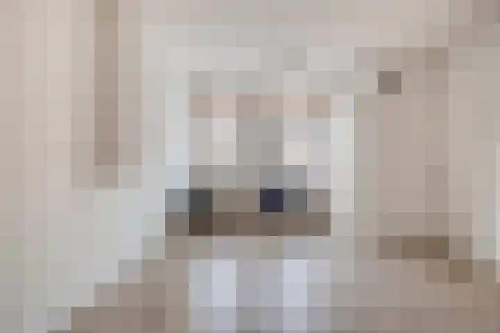 Grote Kade 4 Goes thumbnail 8
