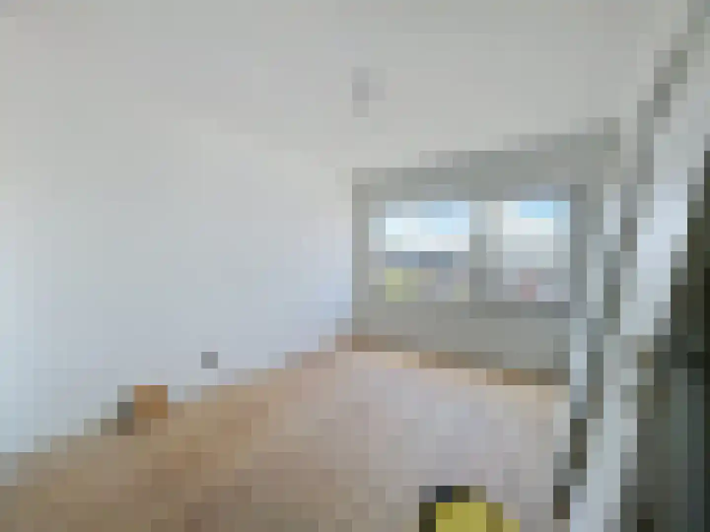 Grote Kade 5 Breskens thumbnail 13