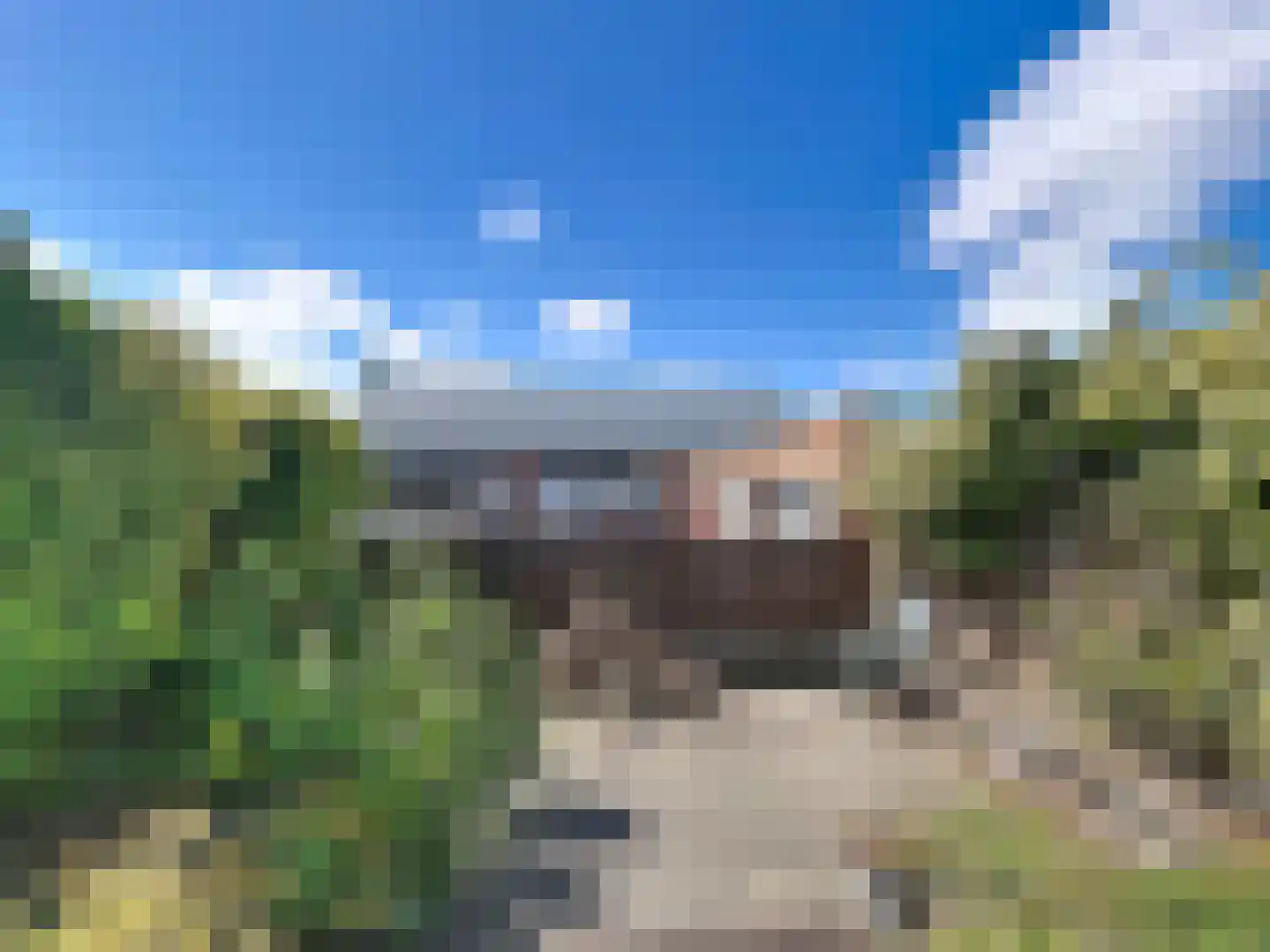 Grote Kade 5 Breskens thumbnail 21