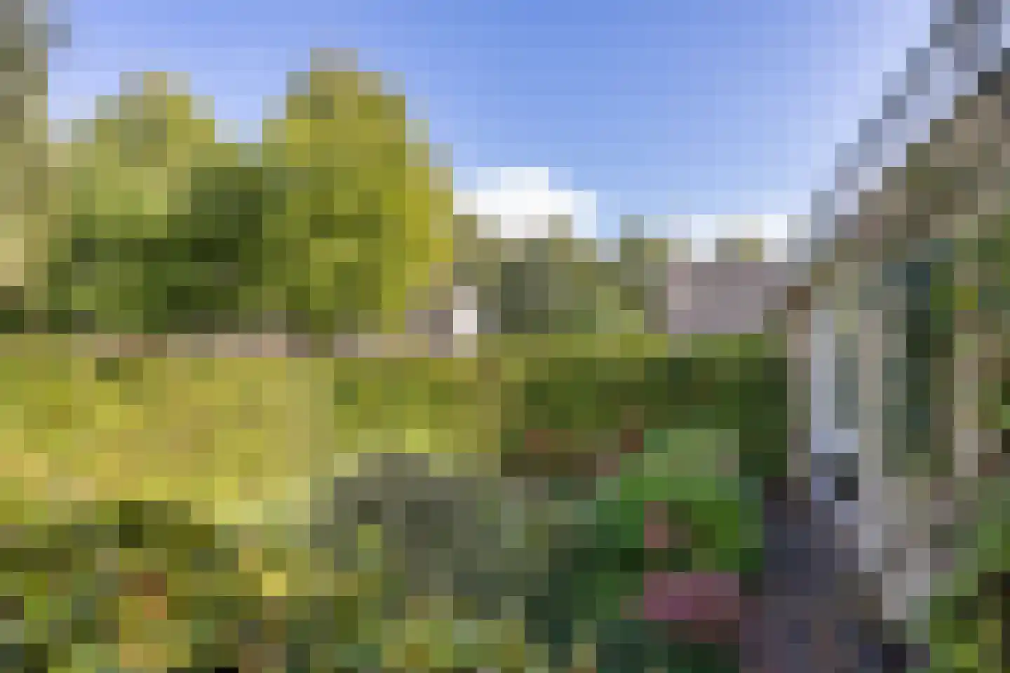 Grote Kampen 1 A Bolsward thumbnail 29