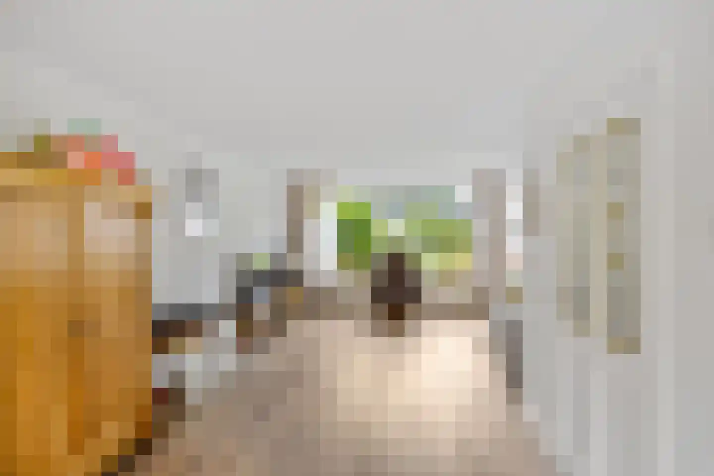 Grote Kampen 57 Vries thumbnail 12