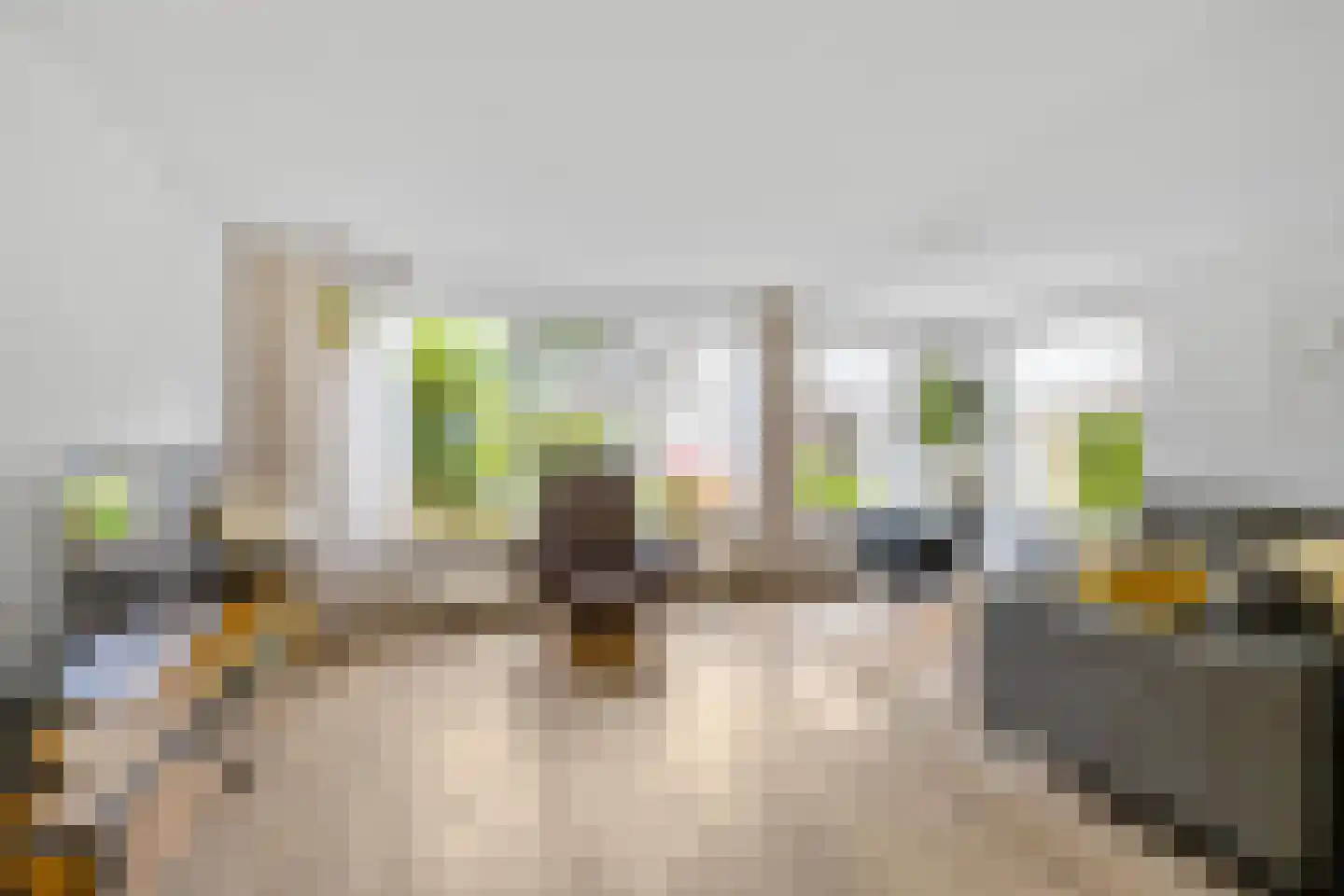 Grote Kampen 57 Vries thumbnail 13