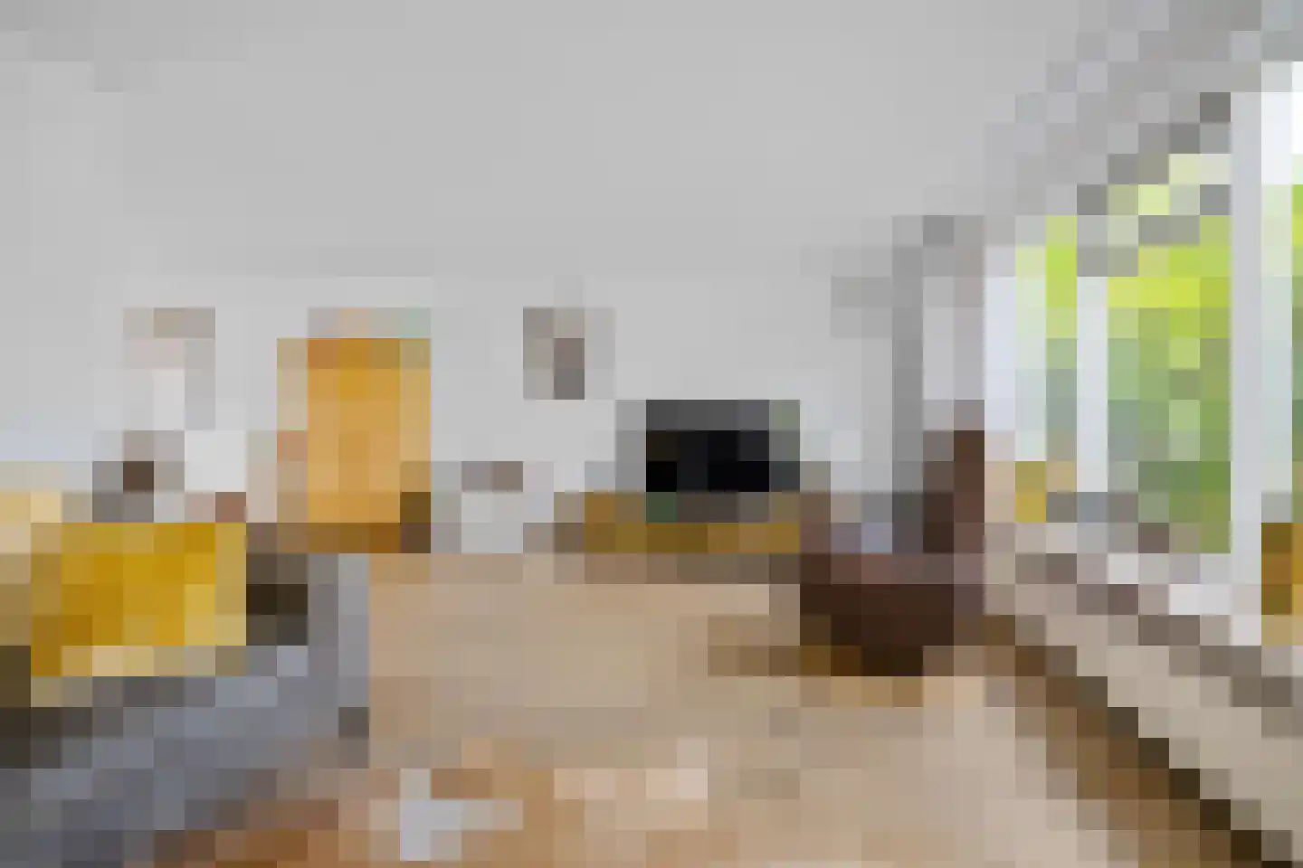 Grote Kampen 57 Vries thumbnail 15