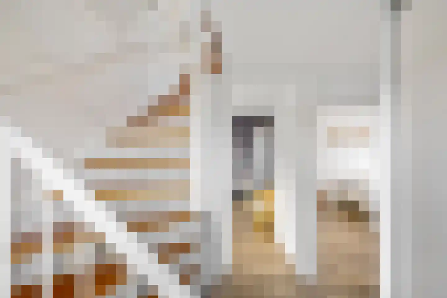 Grote Kampen 57 Vries thumbnail 34