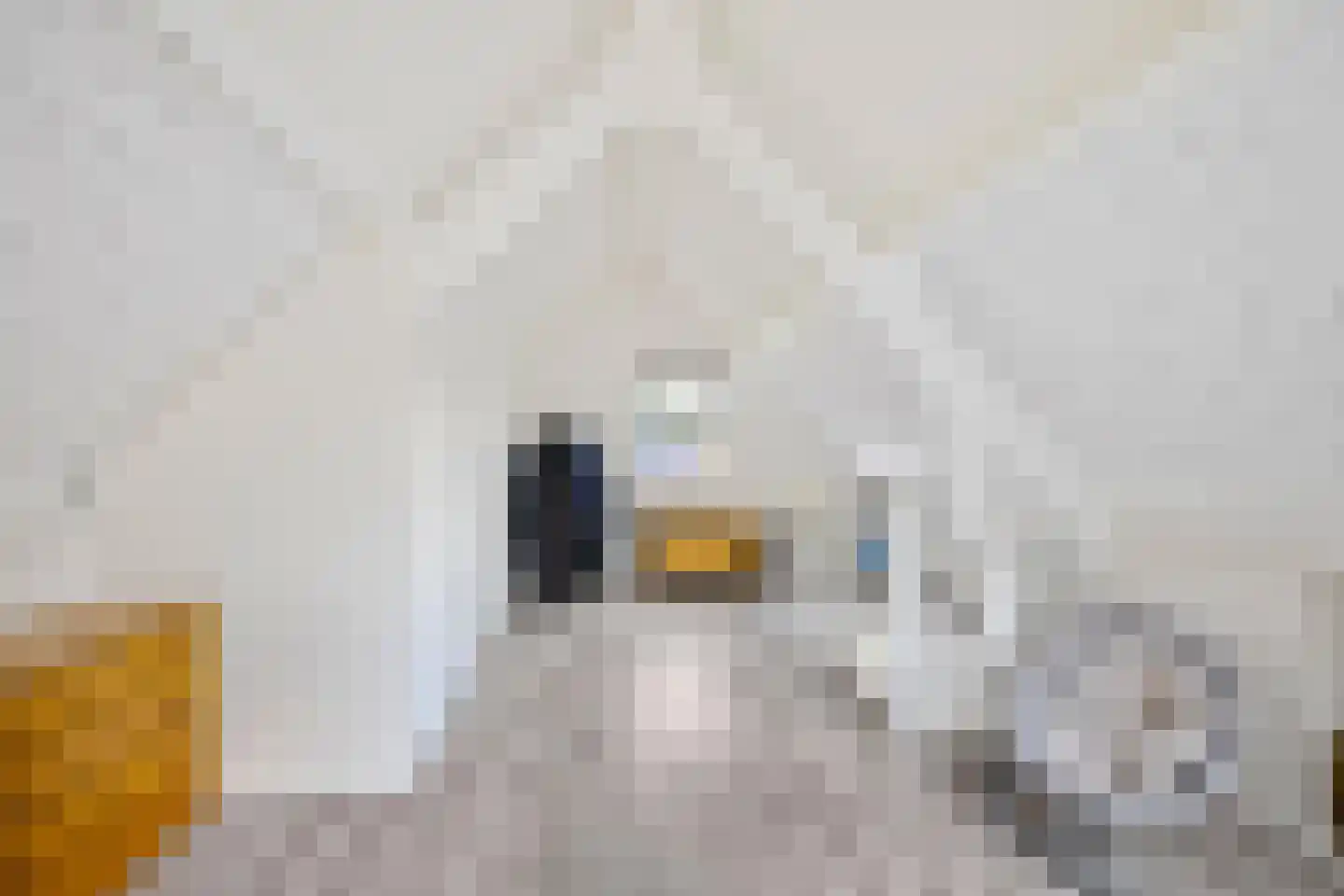 Grote Kampen 57 Vries thumbnail 35
