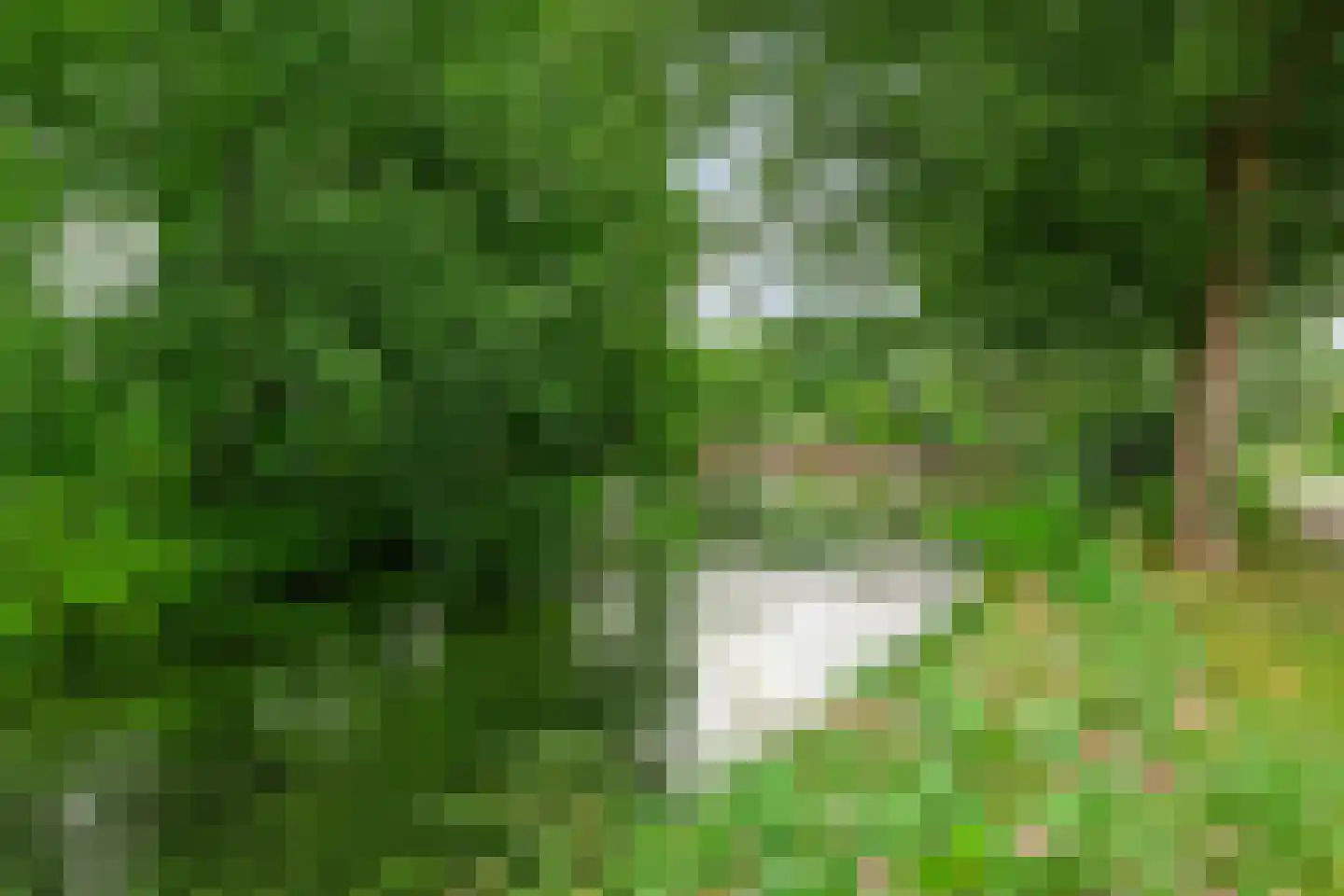 Grote Kampen 57 Vries thumbnail 48