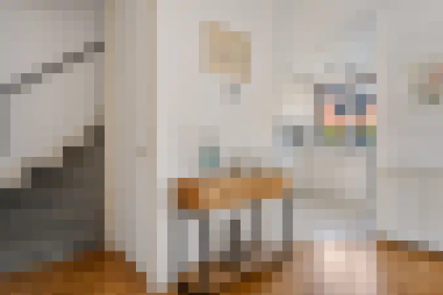 Grote Kampen 8 Vries thumbnail 10