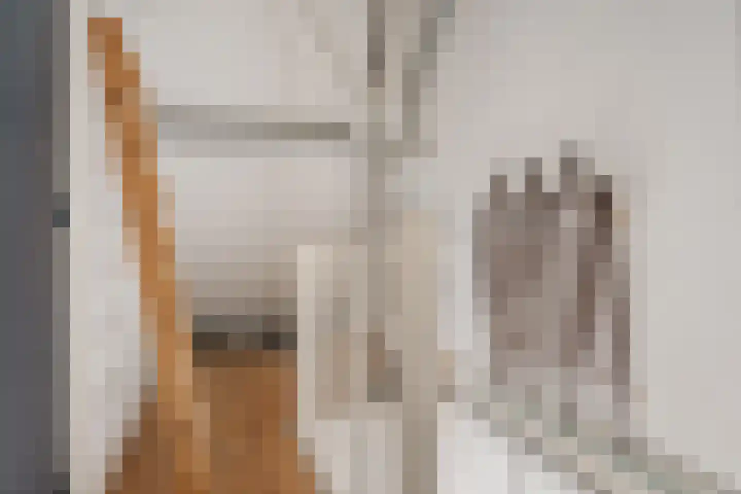 Grote Kampen 8 Vries thumbnail 27