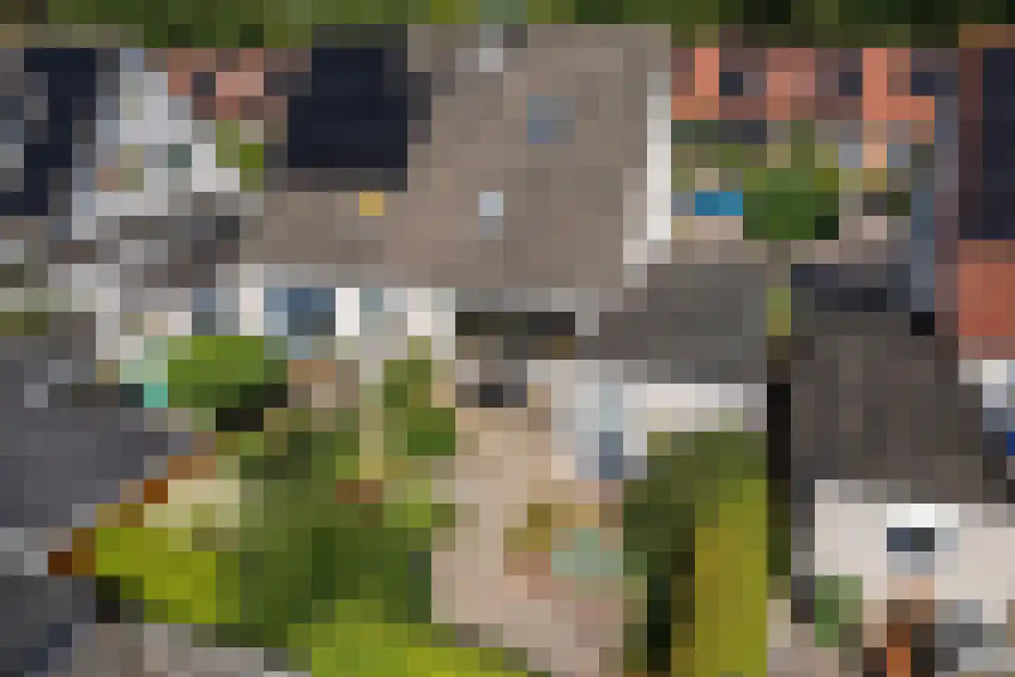 Grote Kampen 8 Vries thumbnail 39
