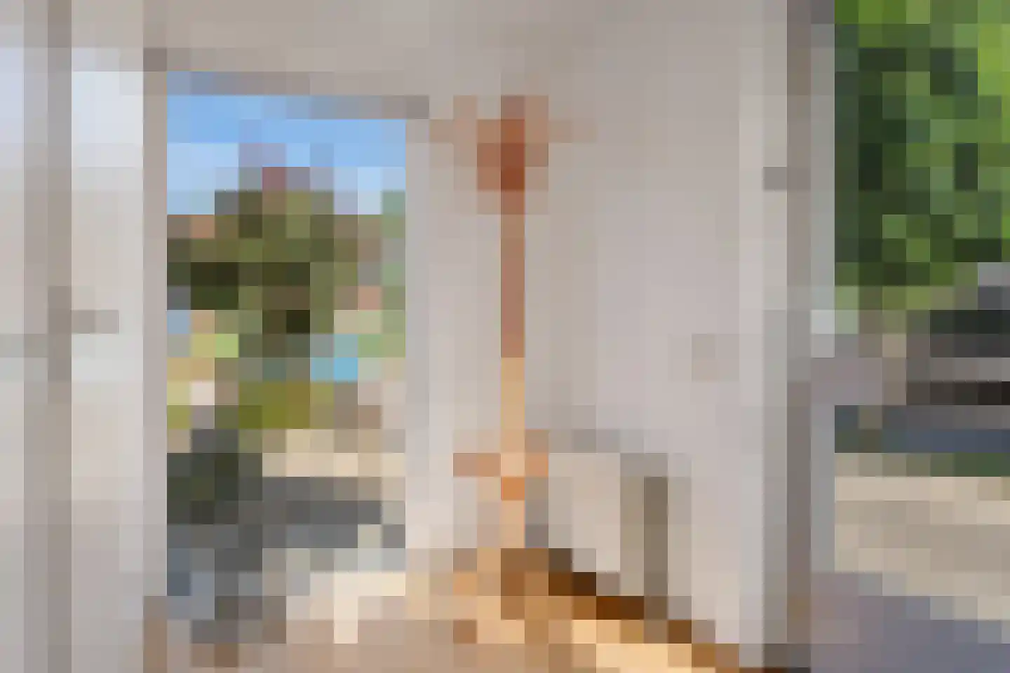 Grote Kampen 8 Vries thumbnail 4