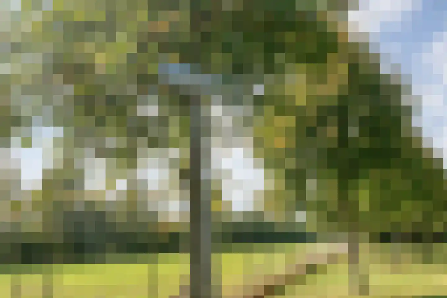 Grote Kattendijk 5 Venebrugge thumbnail 15