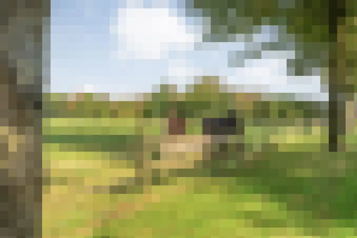 Grote Kattendijk 5 Venebrugge thumbnail 20