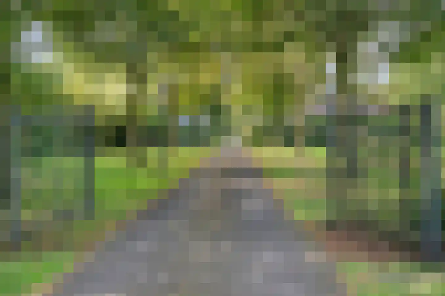 Grote Kattendijk 5 Venebrugge thumbnail 23