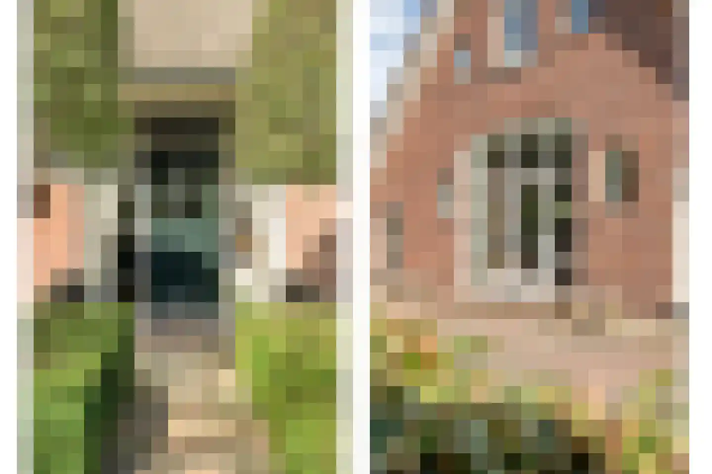 Grote Kattendijk 5 Venebrugge thumbnail 26