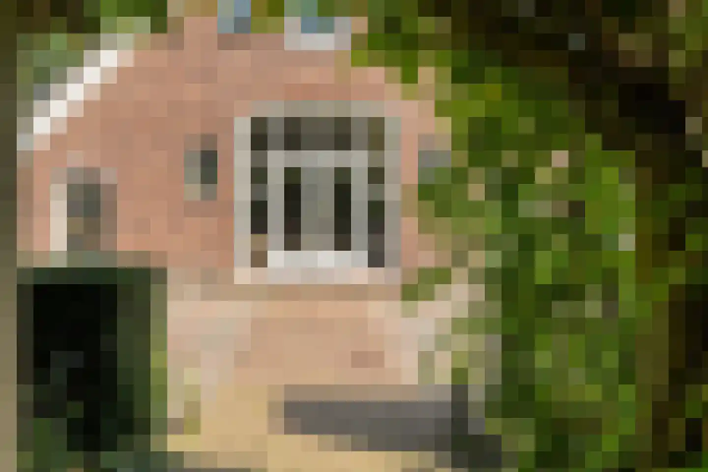 Grote Kattendijk 5 Venebrugge thumbnail 51