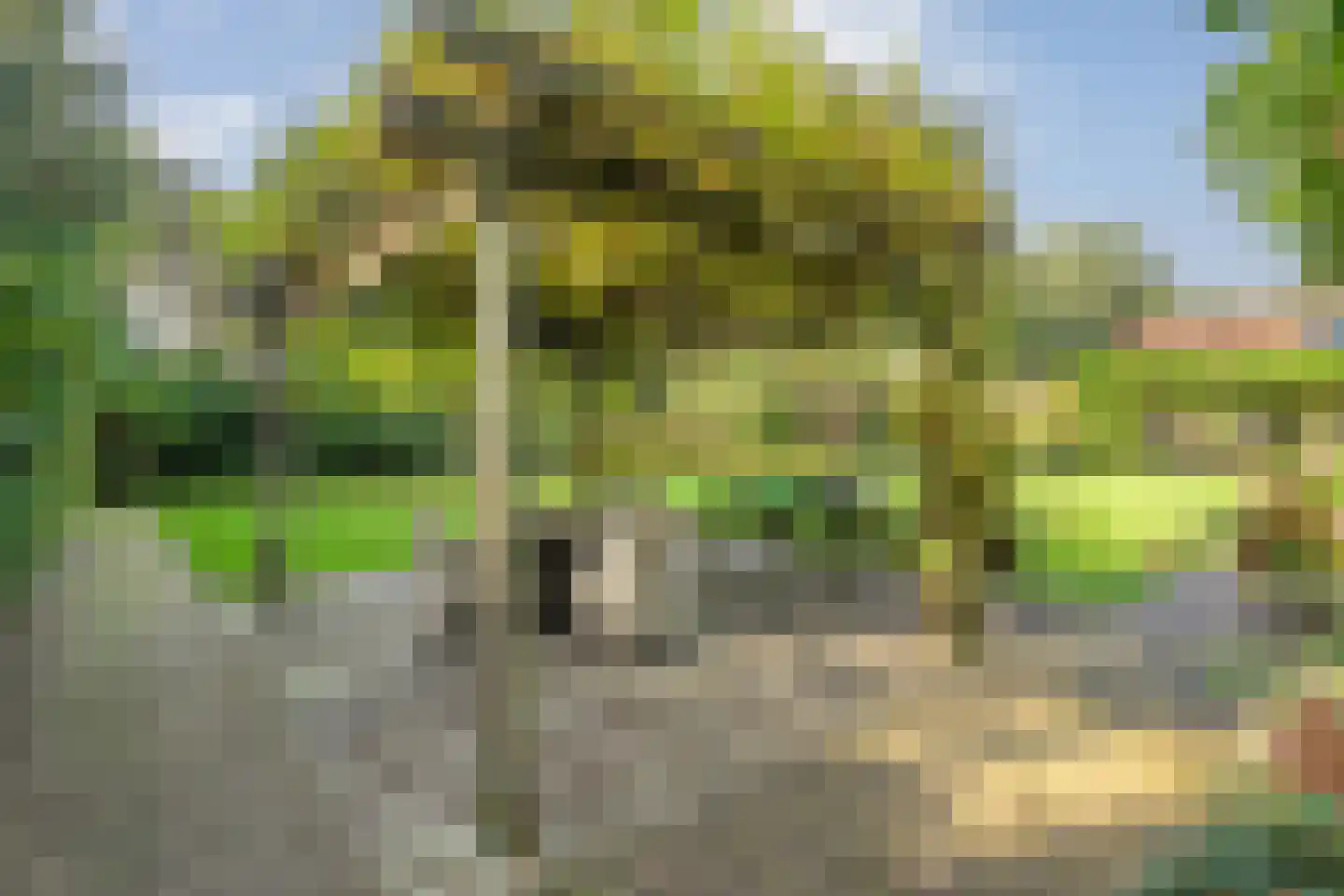 Grote Kattendijk 5 Venebrugge thumbnail 54