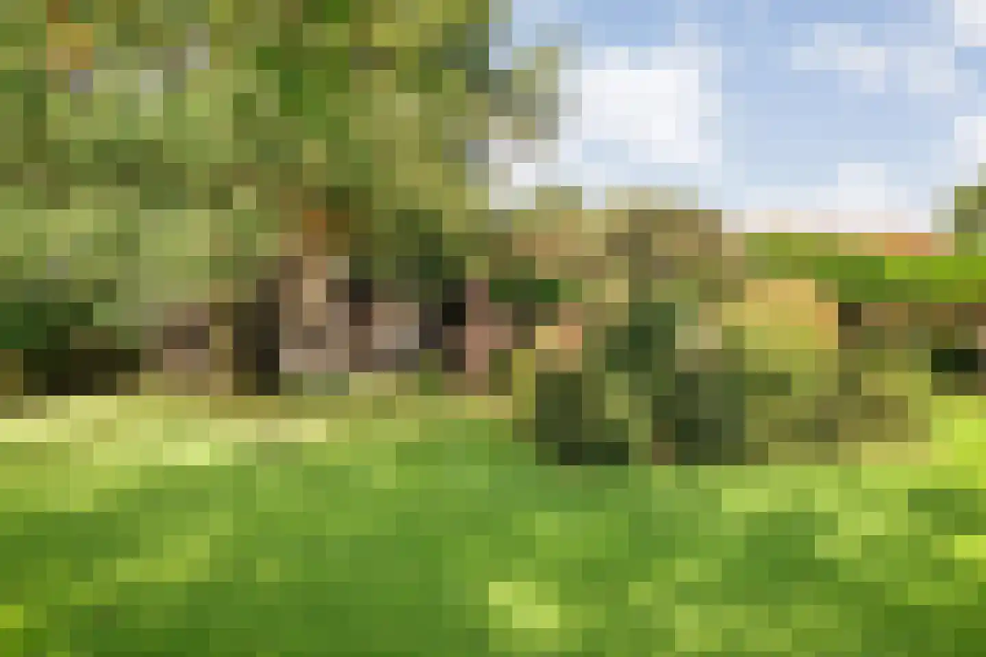 Grote Kattendijk 5 Venebrugge thumbnail 58