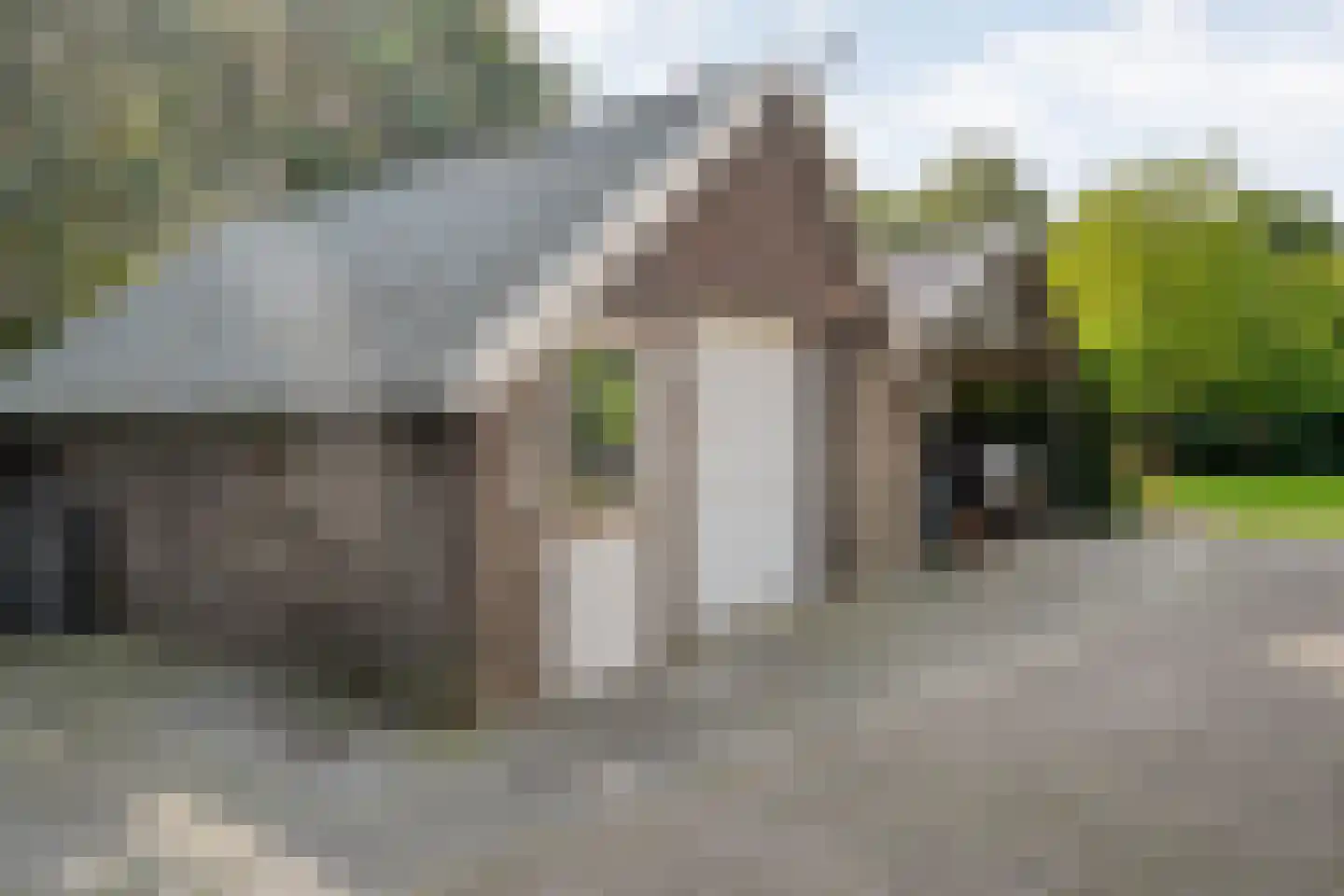 Grote Kattendijk 5 Venebrugge thumbnail 77