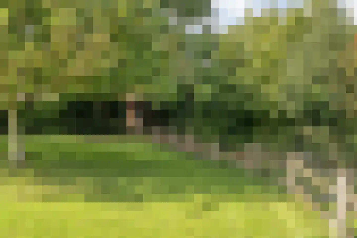 Grote Kattendijk 5 Venebrugge thumbnail 85