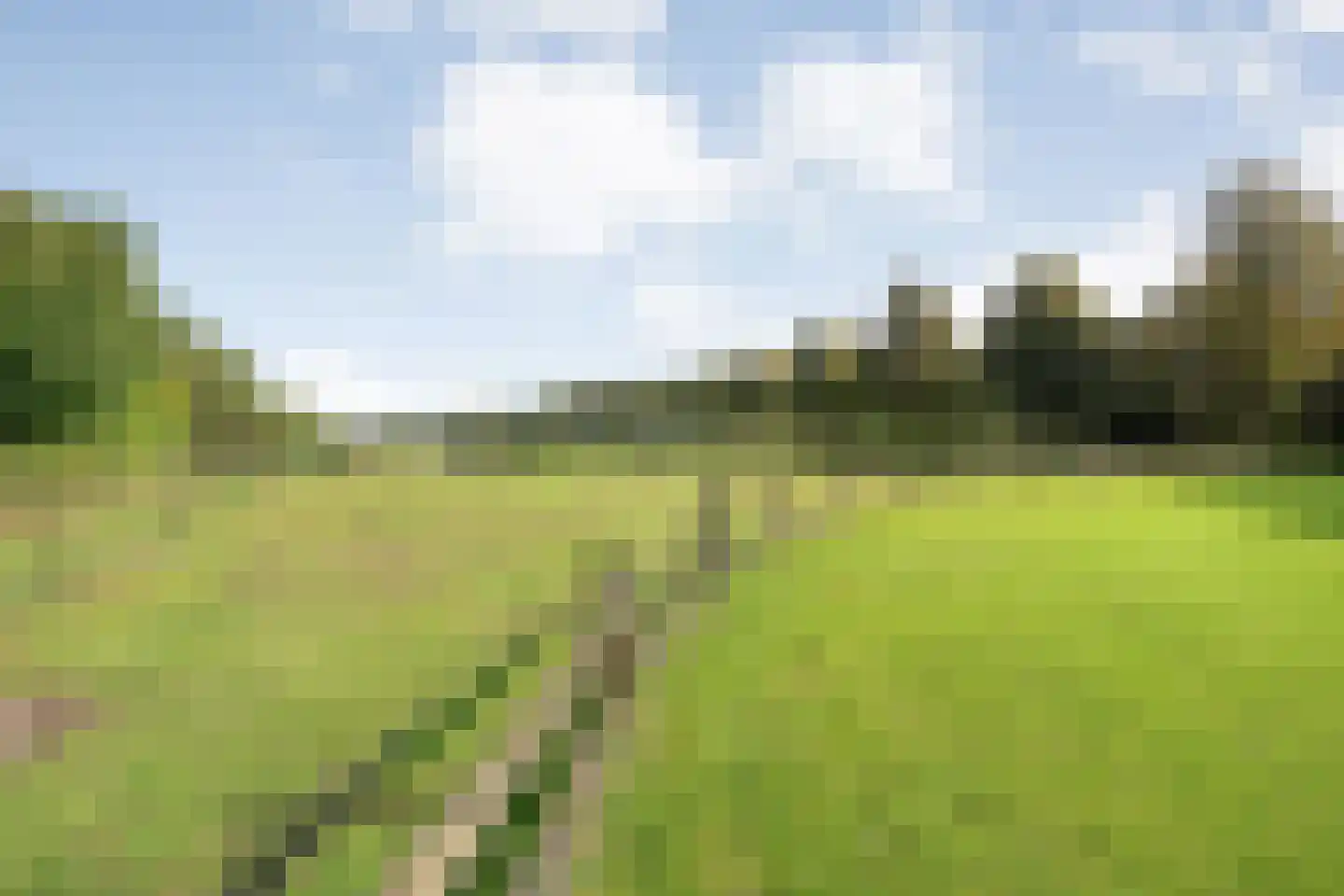 Grote Kattendijk 5 Venebrugge thumbnail 86