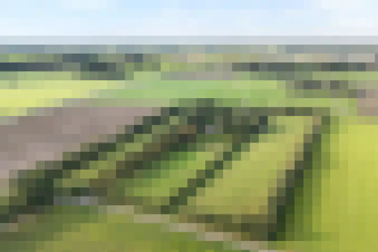 Grote Kattendijk 5 Venebrugge thumbnail 88