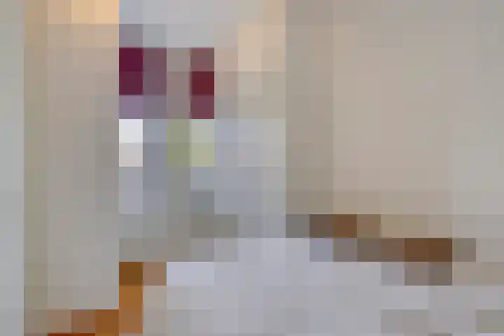 Grote Kerk 11 K Vlijmen thumbnail 18